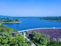 💧 Chulabhorn Dam: A Backpacker’s Guide to Nakhon Si Thammarat’s Hidden Lake Escape!