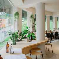 Neighborhood Comfort at Lola’s Singapore
