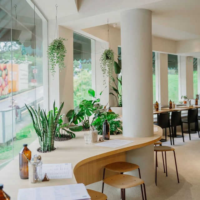 Neighborhood Comfort at Lola’s Singapore
