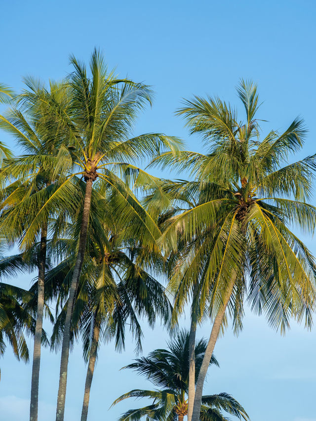 SAii Laguna Phuket