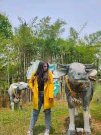jungle de cafe เชียงใหม่ สาขาบ้านถวาย