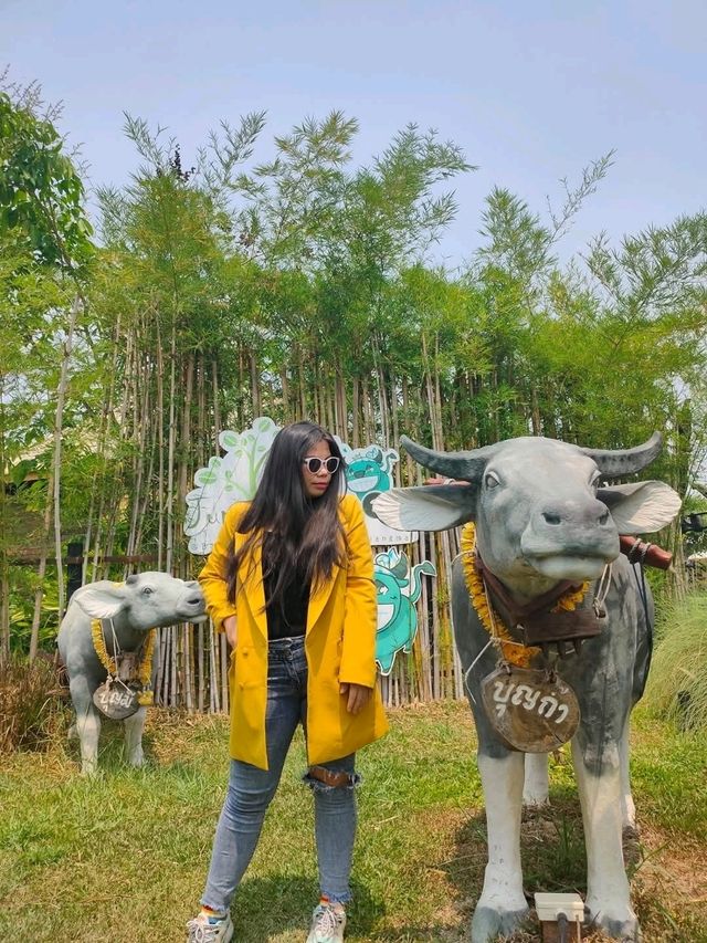 jungle de cafe เชียงใหม่ สาขาบ้านถวาย
