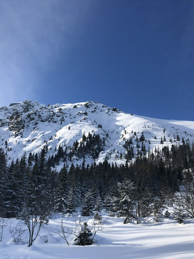 【波蘭最夢幻雪景湖泊❄️ Morskie Oko 雪地健行體驗 🇵🇱】
