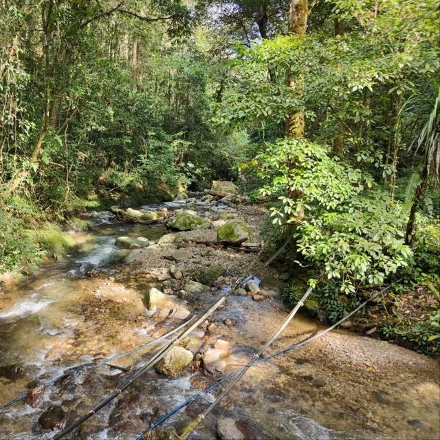 Hiking Feels, Sabah. Worth the Sweat