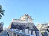 石垣の上からの景色が🙆