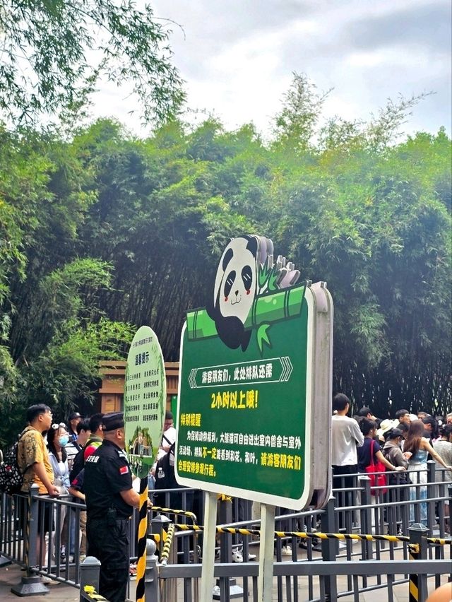 熊貓粉絲必到景點
