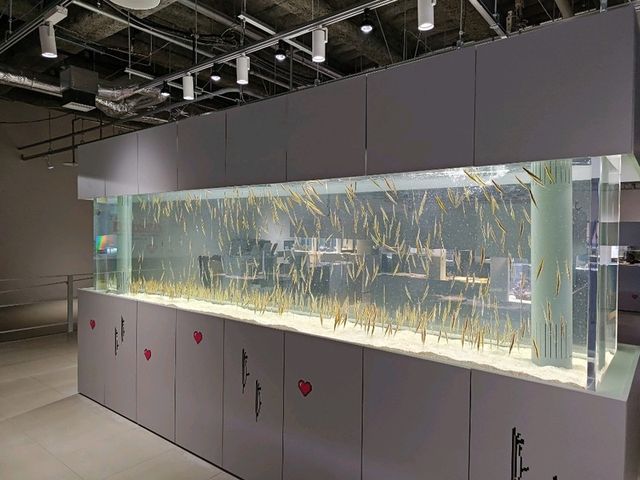 札幌景點｜2023年新開幕城市中的海洋世界~AOAO SAPPORO