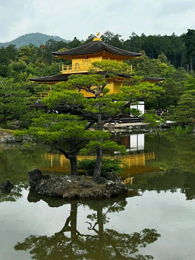 Kinkaku-ji: The Golden Pavilion of Kyoto