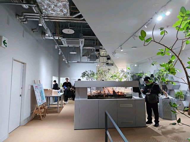 札幌景點｜2023年新開幕城市中的海洋世界~AOAO SAPPORO