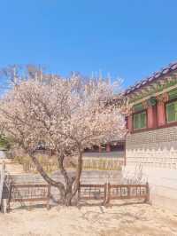 💕청덕궁 가족과 함께 거닐기 좋은 곳 🌲
