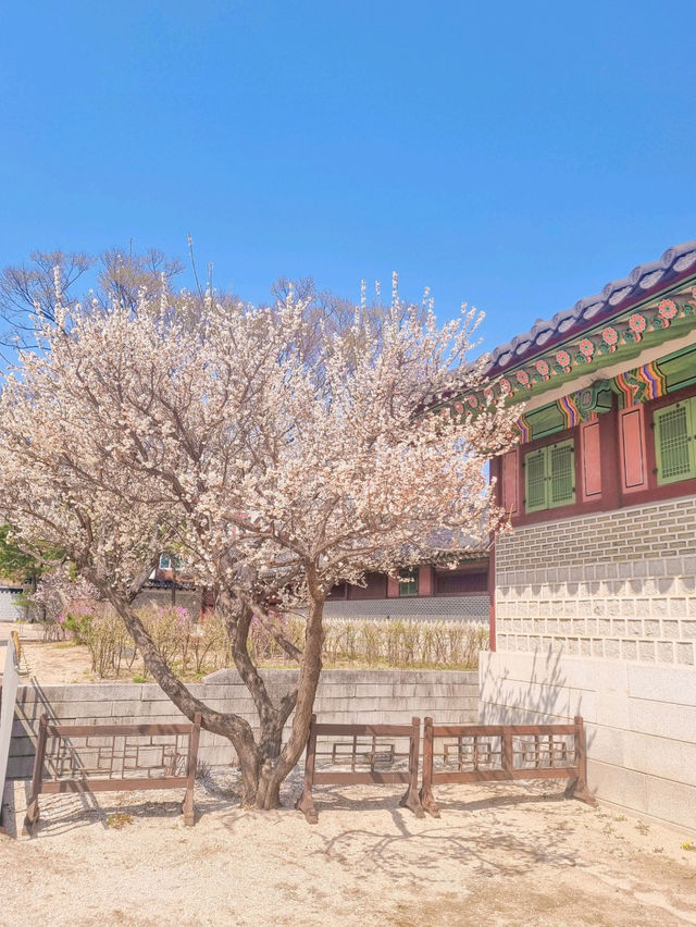 💕청덕궁 가족과 함께 거닐기 좋은 곳 🌲