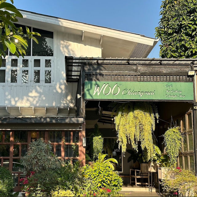 รวมคาเฟ่บรรยากาศดี ที่เชียงใหม่ 2025 ✨