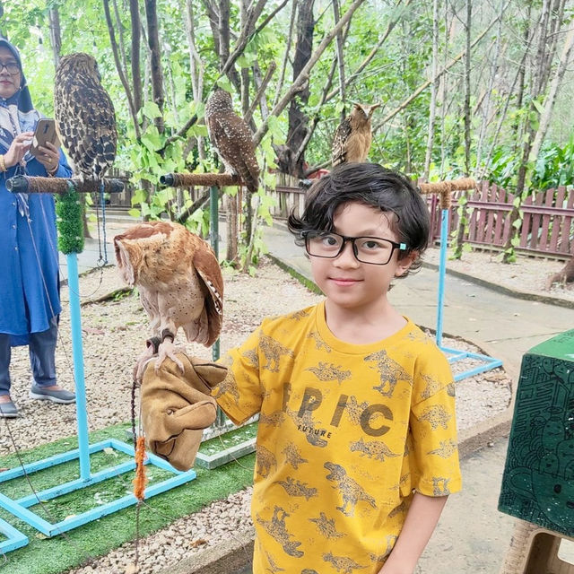 Prehistoric Adventure at Dino’s Gate, Batam