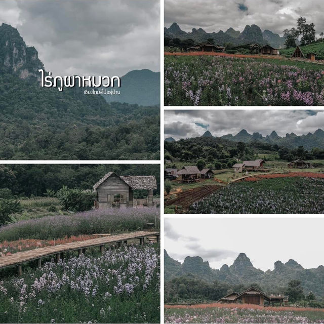ฝนนี้ที่เชียงดาว 
