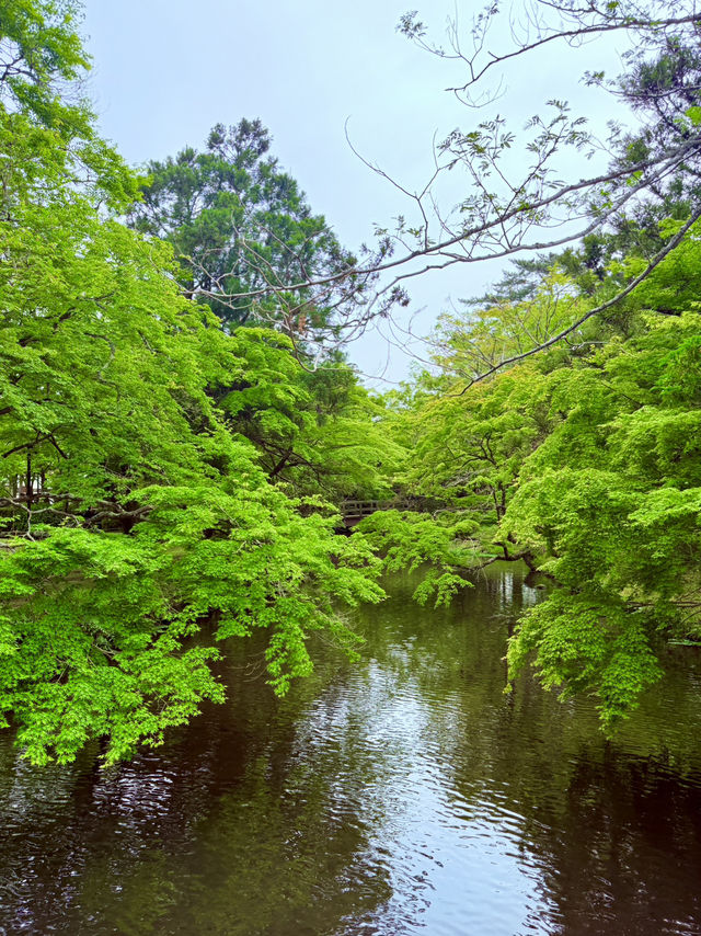 金鱗湖