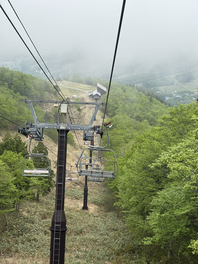 Hakuba Iwatake Mountain Resort 