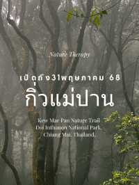 กิ่วแม่ปาน ฤดูฝน
