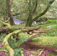 Slieve Bloom Mountains – Ireland’s Hidden Highlands