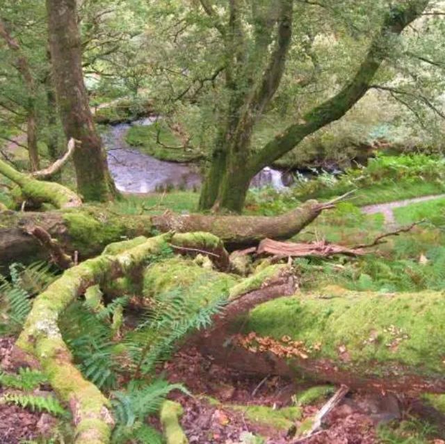 Slieve Bloom Mountains – Ireland’s Hidden Highlands