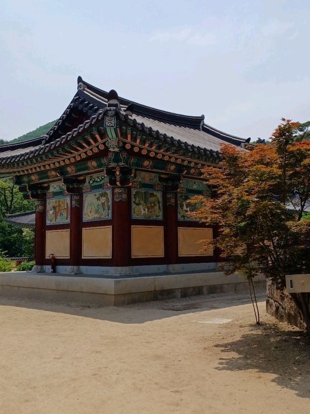 산 안에 숨어 있는 고요한 쉼터