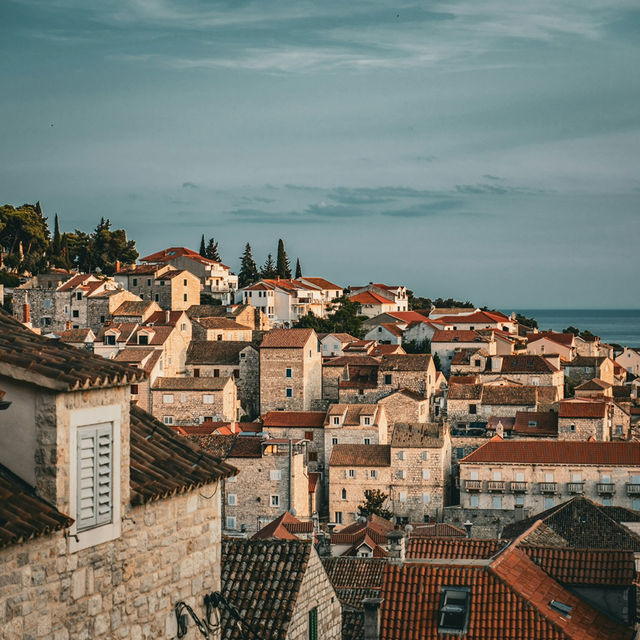 The Lavender Fields of Hvar, Croatia