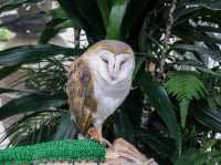 【島根県】 湖畔に広がる花と鳥のテーマパーク『松江フォーゲルパーク』🦉