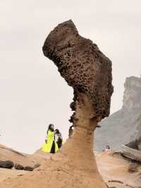 🌊 A Journey to Yehliu Geopark: Taiwan’s Natural Masterpiece Carved by Wind and Sea