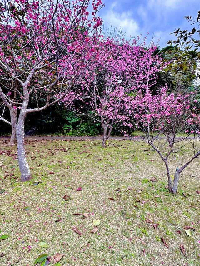 April Blooms