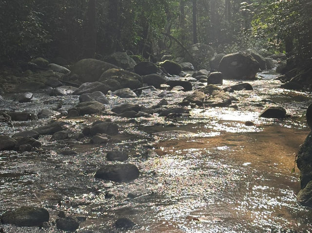 Conquering Gunung Angsi via Ulu Bendul — The Ultimate Challenge Hike! 🔥🏞️