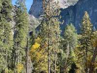 The Perfect Base at Yosemite: Yosemite Valley Lodge