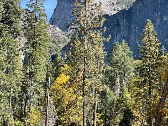 The Perfect Base at Yosemite: Yosemite Valley Lodge