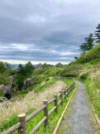 An Active Day Out in Hachinohe – Nature, Trails & Local Flavors