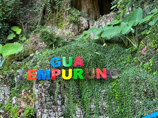 🌏 Malaysian Caves Adventure! | Gua Tempurung, Ipoh