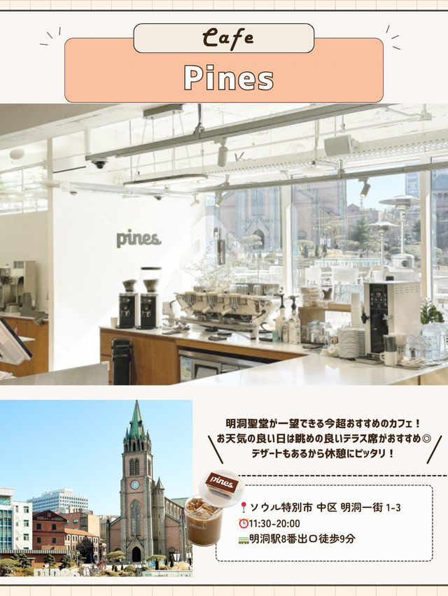 🇰🇷明洞で１日！超満喫巡り💞