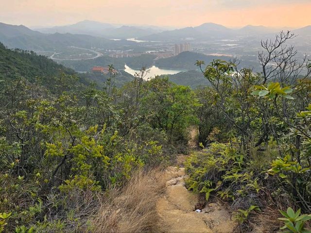 Easy Hike, Sweet Views