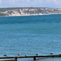 Isle of Wight, South Coast