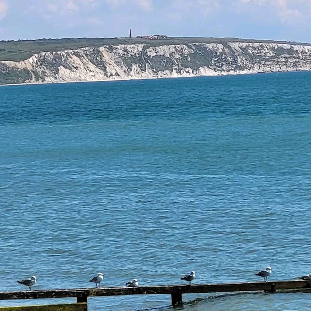 Isle of Wight, South Coast
