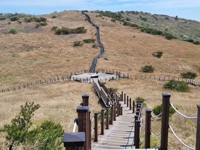 Exploring Ganwolsan Was a Sweet Escape