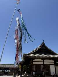 岡山｜在紫藤季再訪阿智神社 賞阿智大藤與抽彩色籤