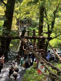 德島｜心跳加速產生戀愛錯覺的橋？ 日本三大奇橋祖谷藤蔓橋