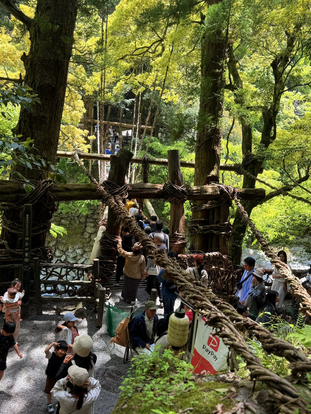 德島｜心跳加速產生戀愛錯覺的橋？ 日本三大奇橋祖谷藤蔓橋