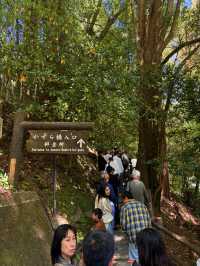 德島｜心跳加速產生戀愛錯覺的橋？ 日本三大奇橋祖谷藤蔓橋