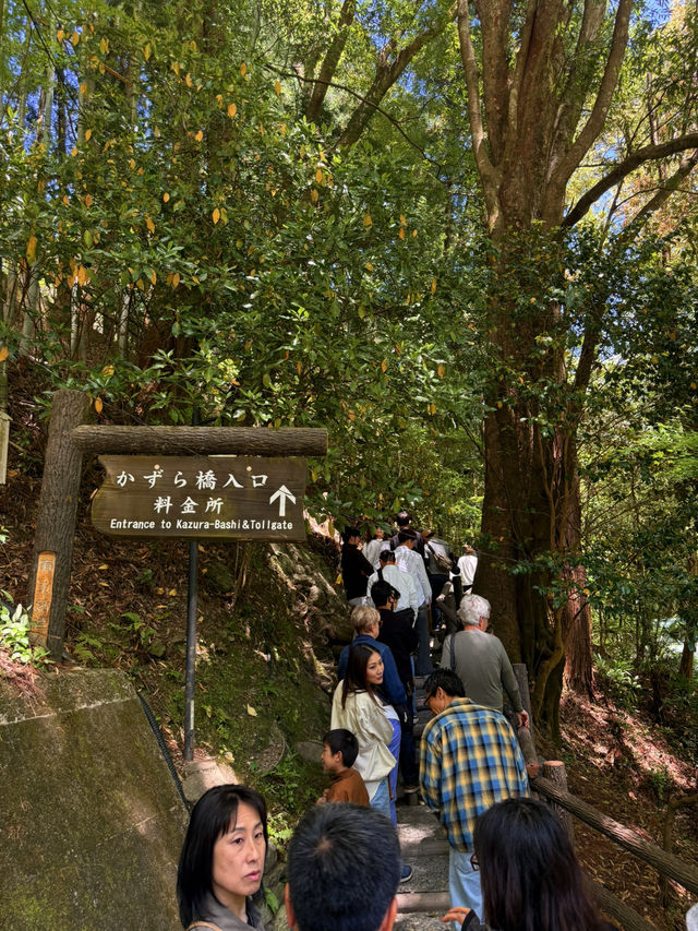 德島｜心跳加速產生戀愛錯覺的橋？ 日本三大奇橋祖谷藤蔓橋