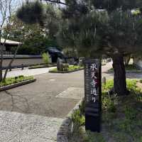 Half Day in Fukuoka: Hakata walk