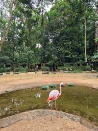 해외여행 브라질 이과수 조류동물원 Parque das Aves
