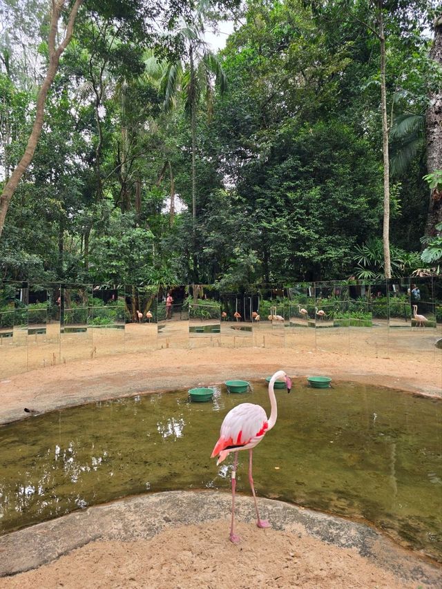 해외여행 브라질 이과수 조류동물원 Parque das Aves
