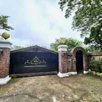 陽明山山豬湖山走走