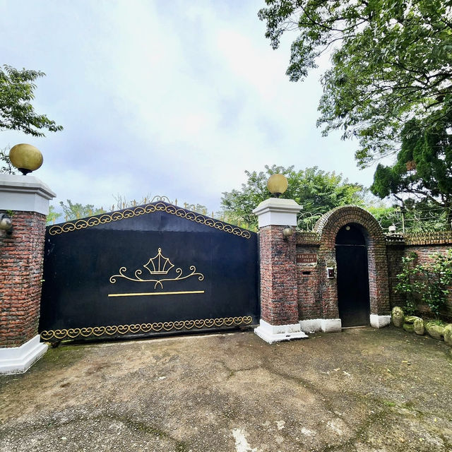 陽明山山豬湖山走走