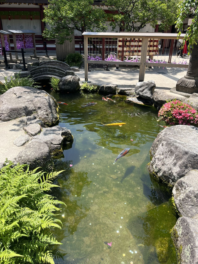 【福岡】⛩️太宰府天満宮 攻略ガイド