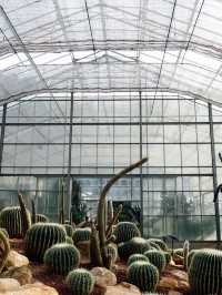 Mae Rim Queen SiriKit Botanic Garden Escape 🌵